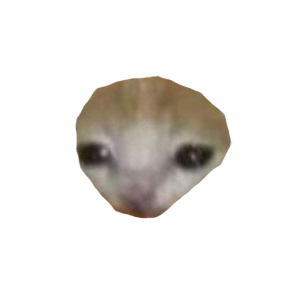 head